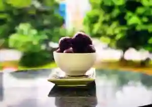 Açaí Puro 1L